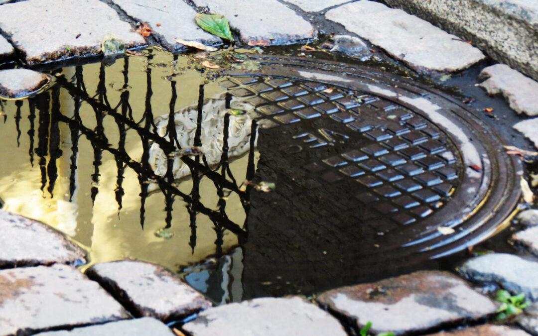 Poor Drainage