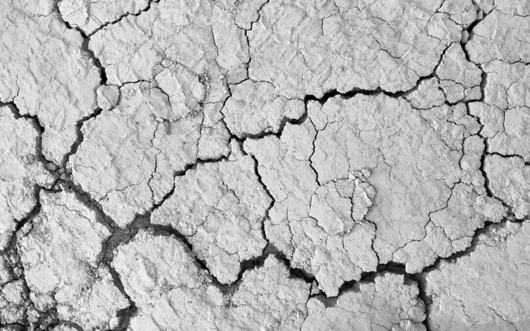 Foundation Crack